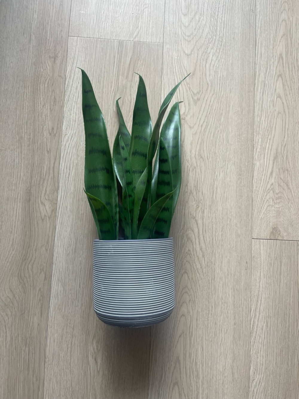 Artificial Snake Plant Potted